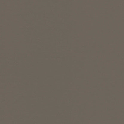 Sunbrella Plus Taupe