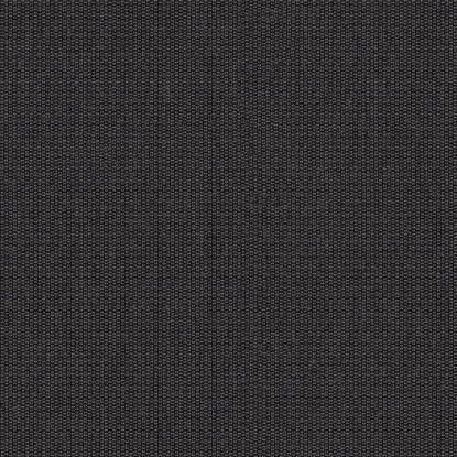 Sunbrella Plus Basalt